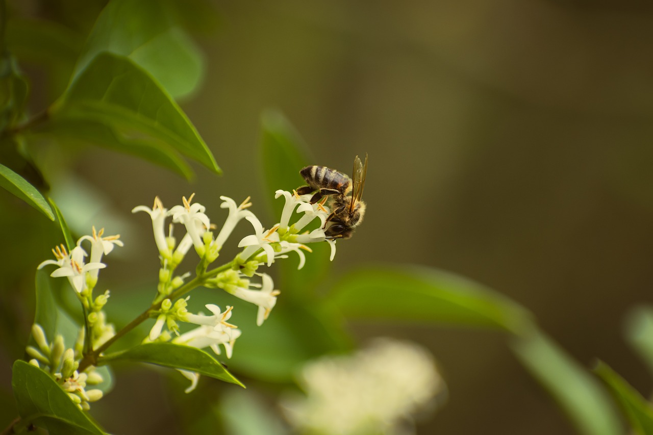 5 astuces faciles pour poser une bordure de jardin en plastique